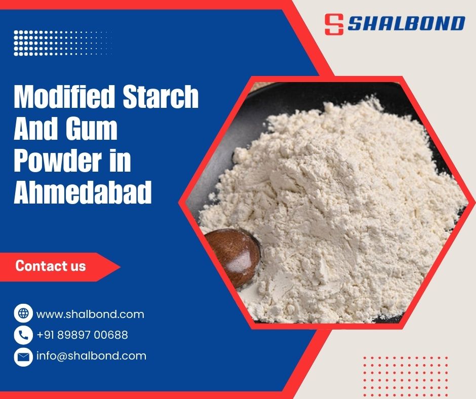 Modified Starch And Gum Powder in Ahmedabad